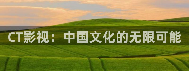 电影网理论：CT影视：中国文化的无限可能