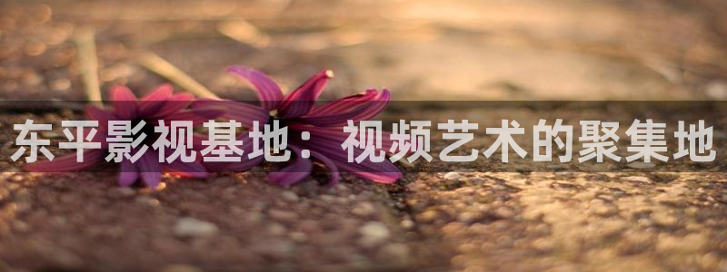 神马不卡理论电影：东平影视基地：视频艺术的聚集地