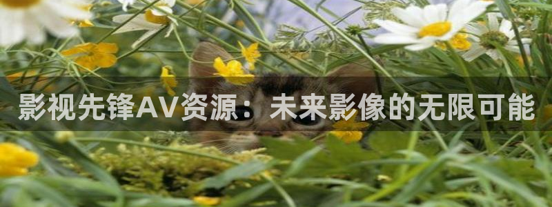 理论秋霞电影：影视先锋AV资源：未来影像的无限可能