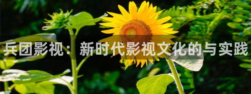 理论影视韩国