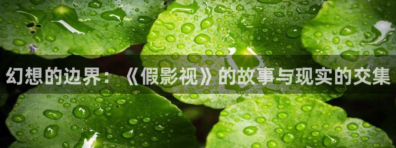 新新影视理论xinxin102