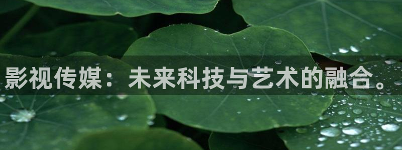 韩国理论电影我的妻子