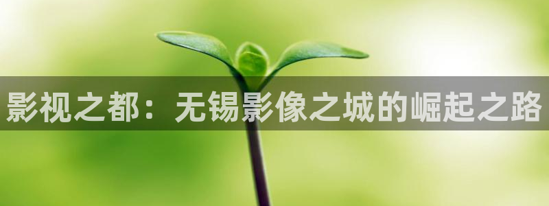 理论性电影在线观看：影视之都：无锡影像之城的崛起之路