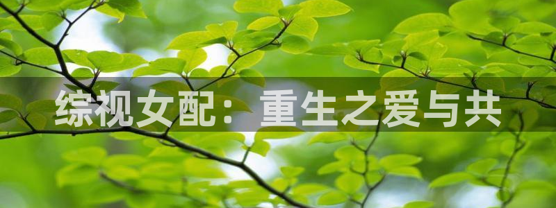 宣宣影视理论第二页