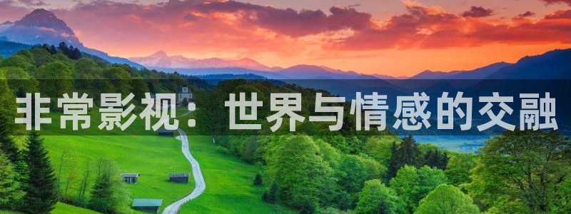 成人理论电影网